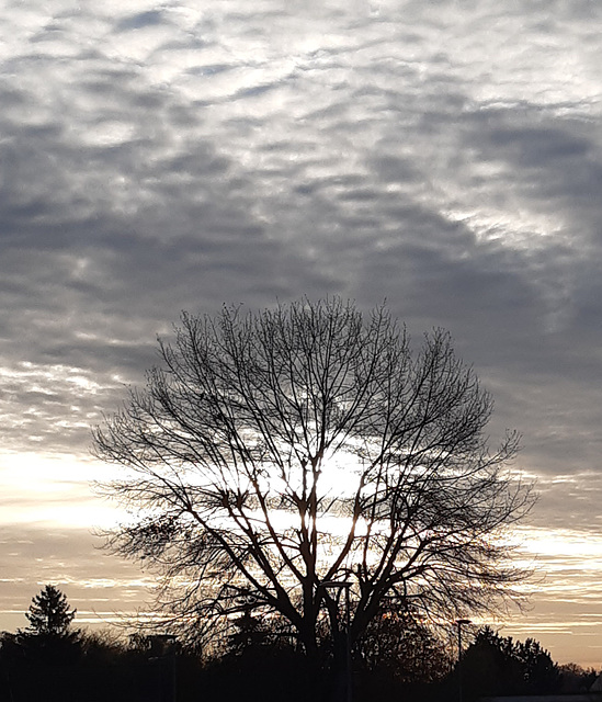 Morgenspaziergang