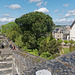 Château d'Angers (8)