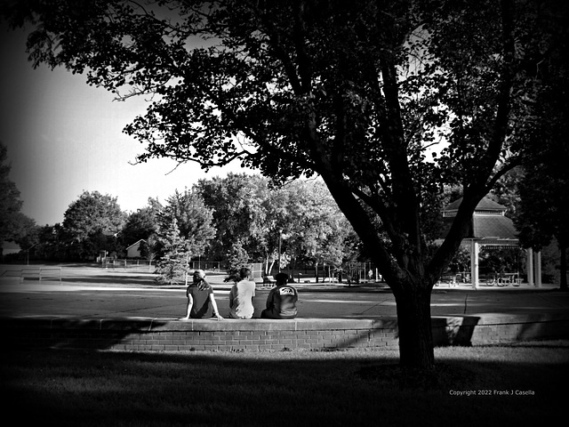 Friends At The Park - Monochrome