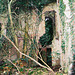 Nettleham Hall, Lincolnshire (burnt 1937 and now an ivy covered ruin)
