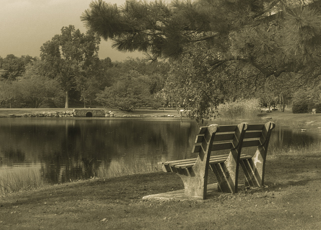 bench1-bw