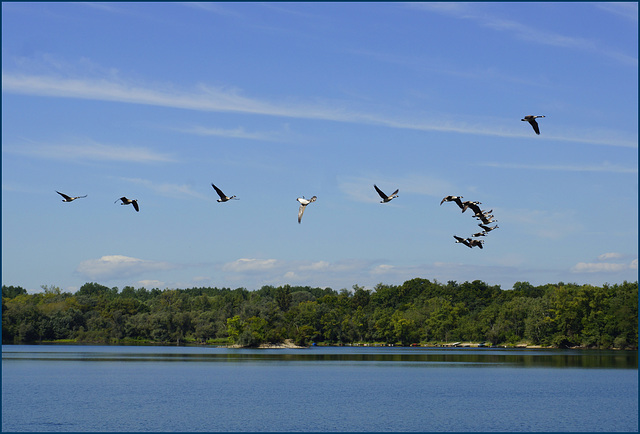 Flugschau