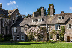 Dartington Hall - 20190317