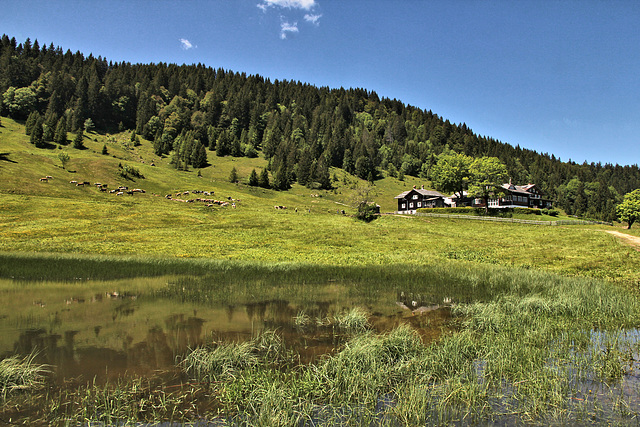 Hochälpele Alm