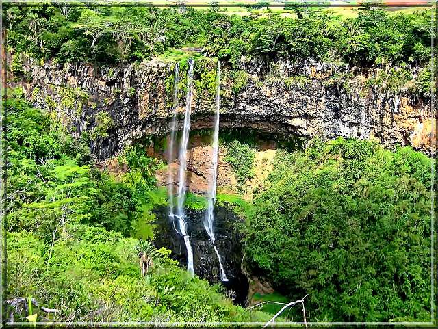 Piccole cascate cadono da una parete rocciosa nella foresta