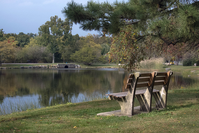 bench1