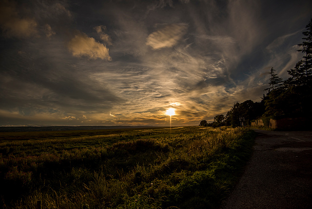 Burton Evening photos2