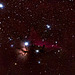 Horse Head Nebula(NGC2023) and Flame Nebula(NGC2024).