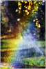 Arc en ciel de jardin