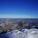 Zürich /Auf dem Uetliberg