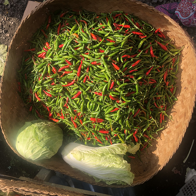 Hot hot peppers in a basket.