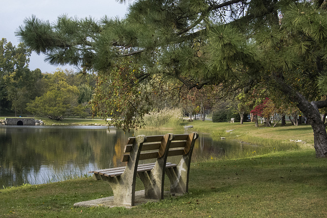 bench3