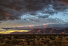 The Huachuca Mountains