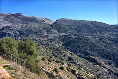 Serrania de Ronda