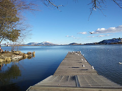 Dock, Lake Ewauna