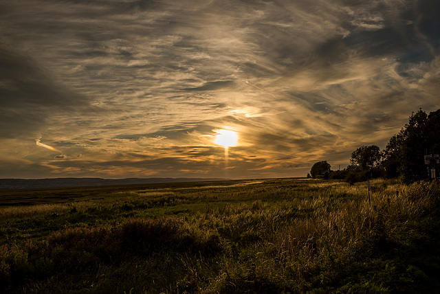 Burton Evening photos3