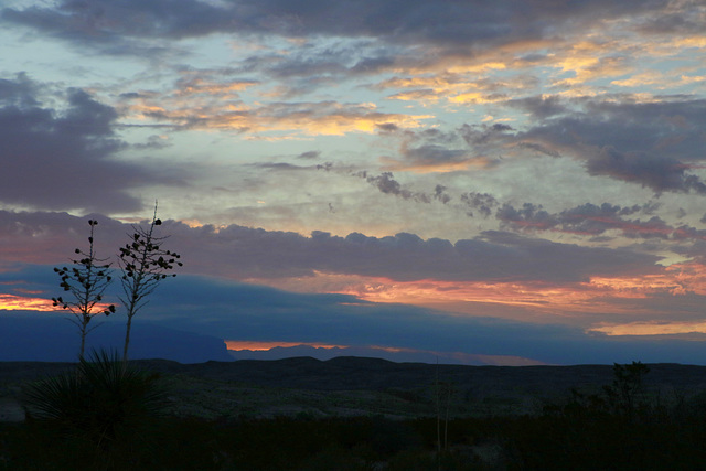 Big Bend Morning