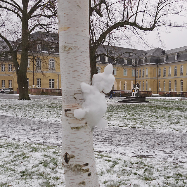 Von der vergänglichen Art-Karlsruhe