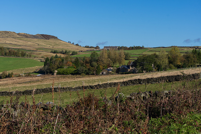 Butcher’s Piece Farm