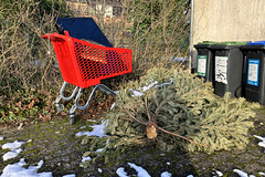 Weihnachtsnostalgie im Januar