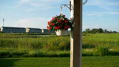 Spring View