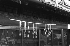 Drying persimmon Drying persimmon