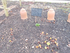 qbm[26] - kitchen garden