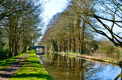 Stafford and Worcestershire Canal