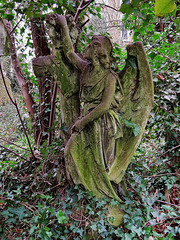 abney park cemetery, london,angel on tomb of thomas phillips, 1928