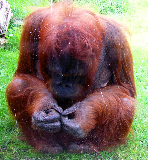 DE - Cologne - Scientist performing an experiment