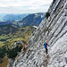 Descent From Scheffauer