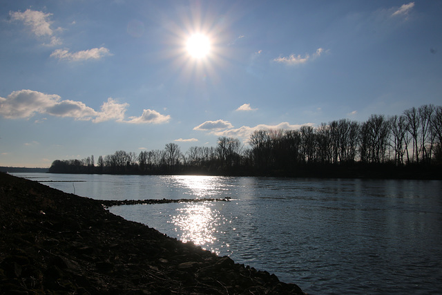 Der Rhein bei Sonnenschein