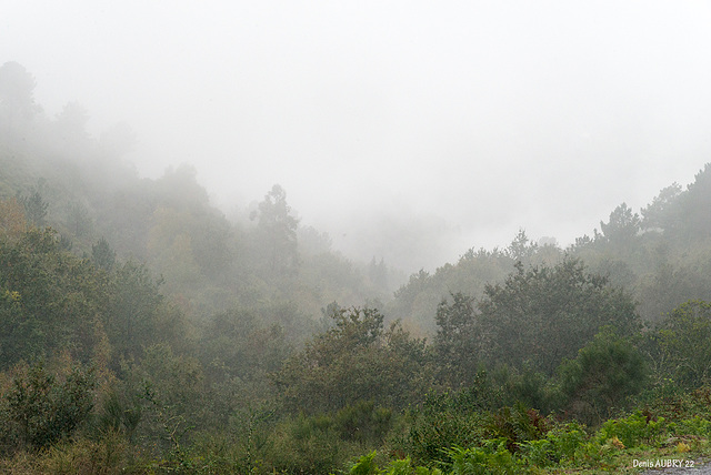 brumes matinale dans le Peneda-Geres