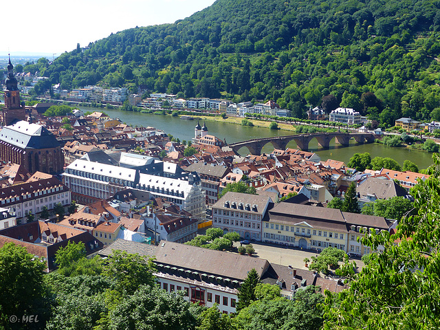 Alte Brücke Heidelberg