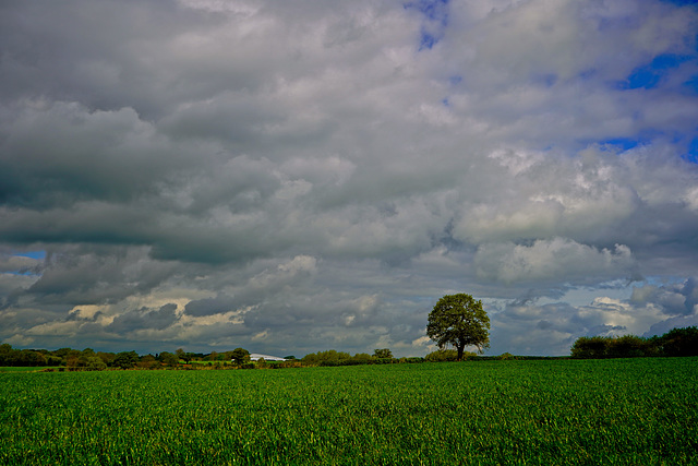 Clouds over Gnosall