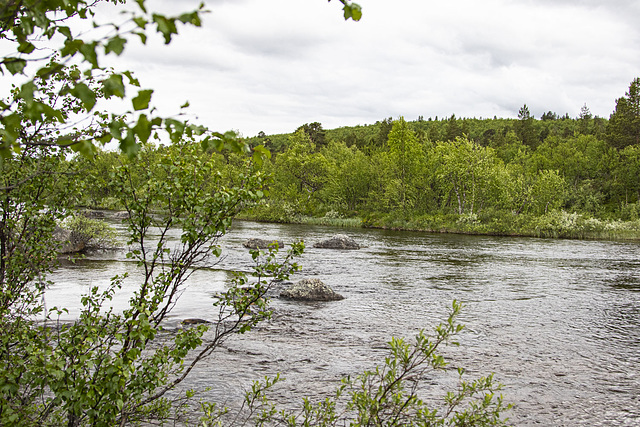 Am Fluss Piäldoojuuhâ (Peltojoki ) in Lappland