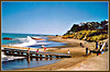 Island Bay Beach.