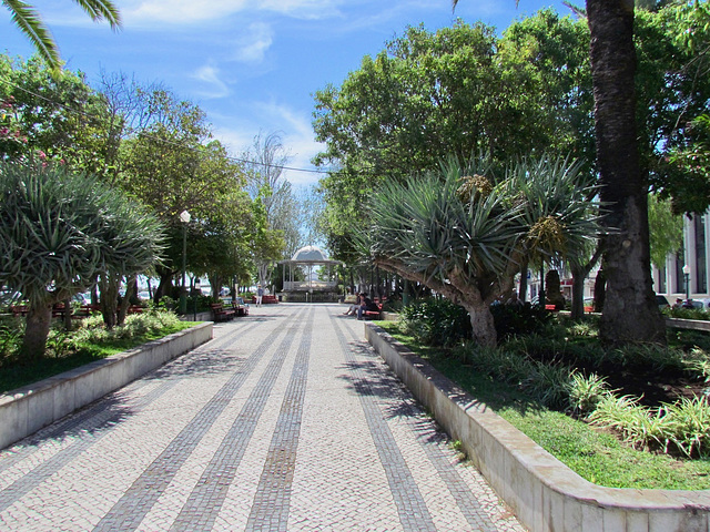 Jardim Publico de Tavira (2015)