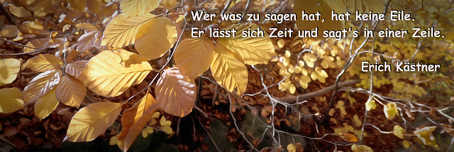 Blätter im Herbst (pip)