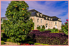 Château de Villandry con sus jardines y huertos + 3PiP