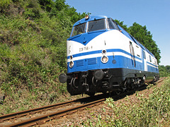 228 758-9 (ex. DR V180) der Rennsteigbahn zwischen Leisnig und Großbothen