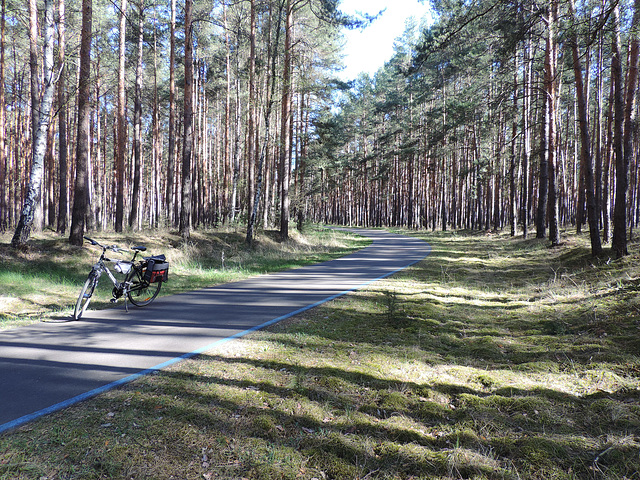 Morgens 8.45 Uhr, allein im Wald...