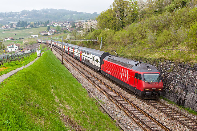 130430 IC Re460 Bossieres A