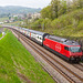 130430 IC Re460 Bossieres A