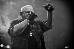 Dirkschneider Haus Auensee 2017 Leipzig Silvio Pfeifer Fotografie