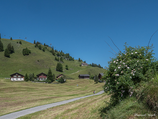 Auf dem Stoos Kanton Schwyz/Schweiz