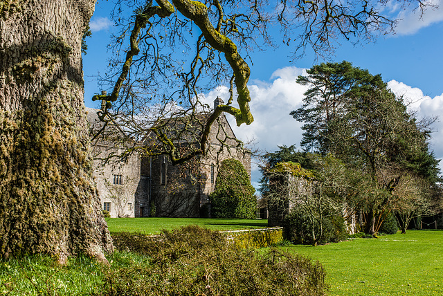 Dartington Hall - 20190317