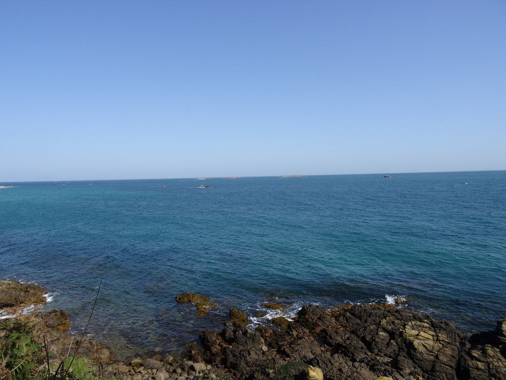 hmsep2019h (1014)