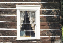 A Cottonwood Window.
