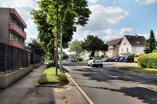 Hatzper Straße (Essen-Haarzopf) / 6.07.2023